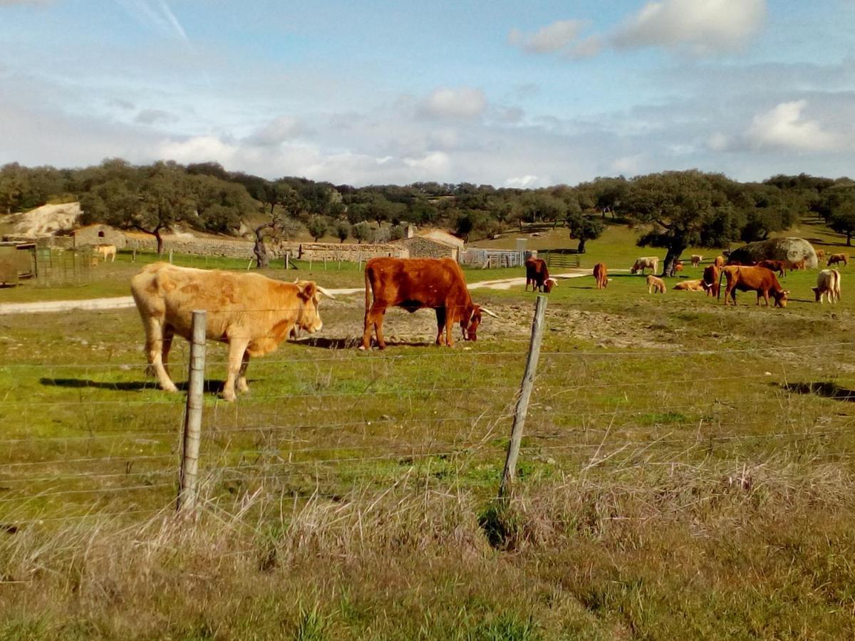 Bed & Breakfast Retiro Da Madalena Crato
