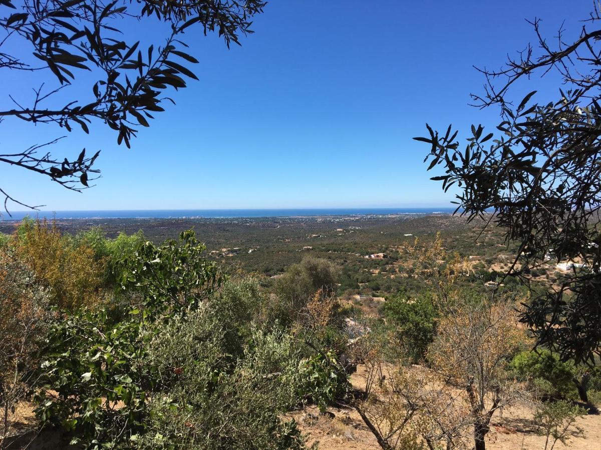 Bed & Breakfast Felicidade Loule