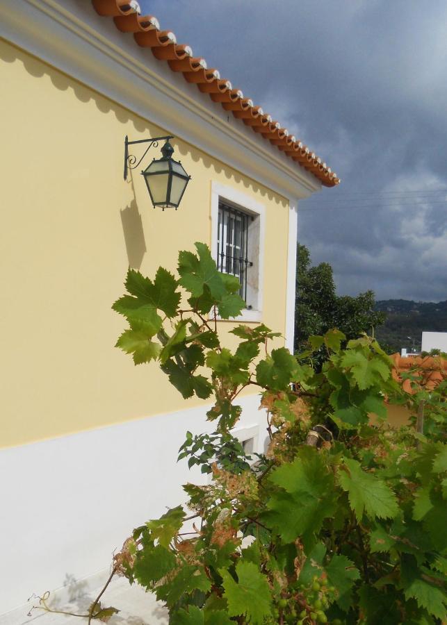 Galo Preto - Urban Agriculture - Healthy Food Sintra