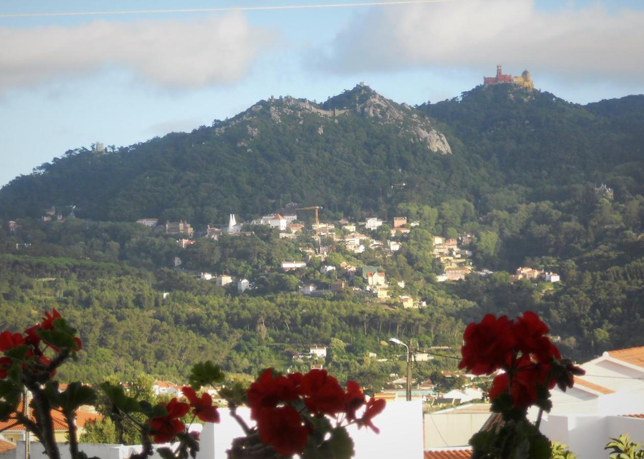 Bed & Breakfast Galo Preto - *