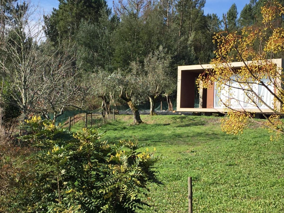 Adore Portugal Natureza & Vista De Serra Lodge Lousa (Central Portugal)
