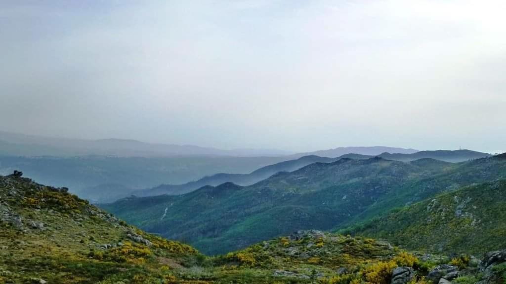 Da Garca Sao Pedro do Sul