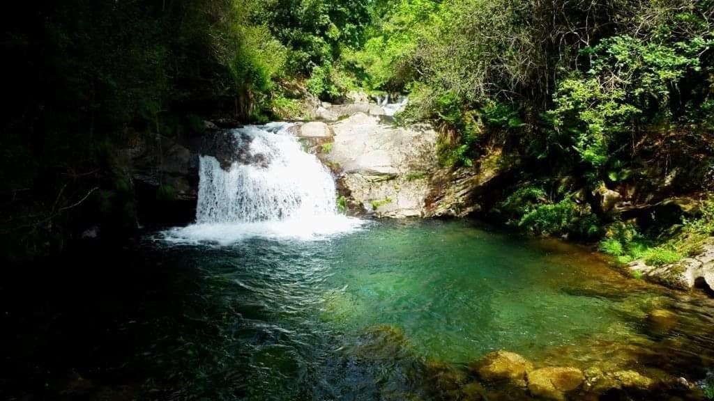 Da Garca São Pedro do Sul