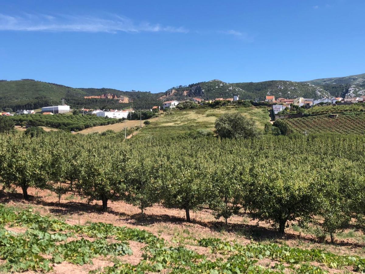 Terra Luso Proche De Montejunto Acomodação com café da manhã 
