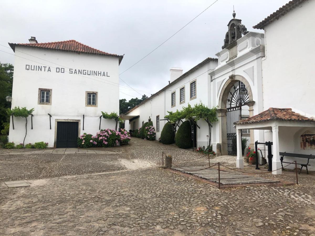 Terra Luso Proche De Montejunto Acomodação com café da manhã  Cadaval