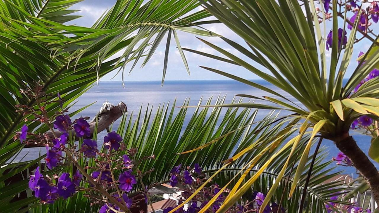 Bed & Breakfast Miradouro Da Papalva - Pico - Azores Sao Joao (Pico Island)