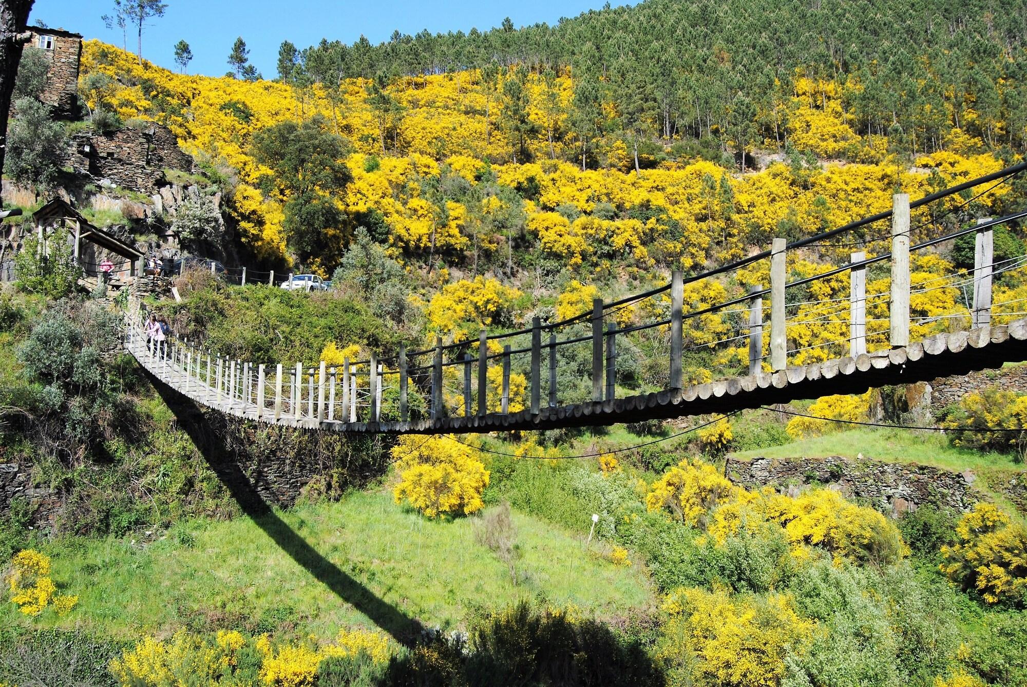 Quinta Da Palmeira - Retreat & Cerdeira