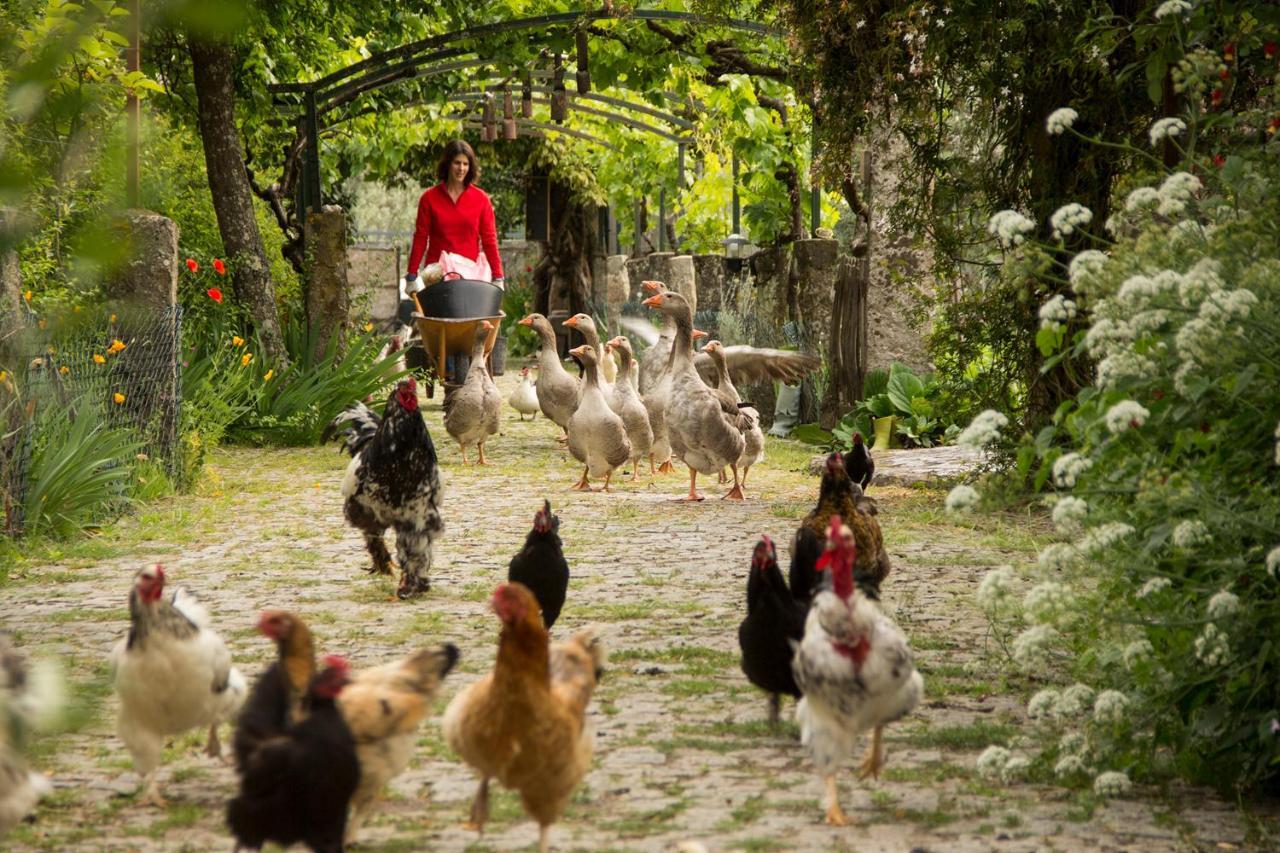 Farm stay Casa Das Palmeiras *