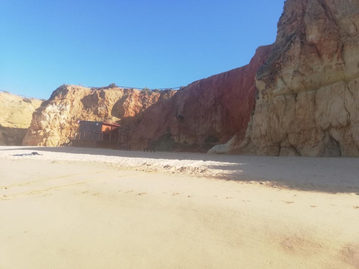 Rocha Mar Front Line Bay *