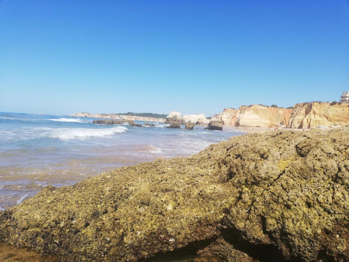 Appartement Rocha Mar Front Line Bay