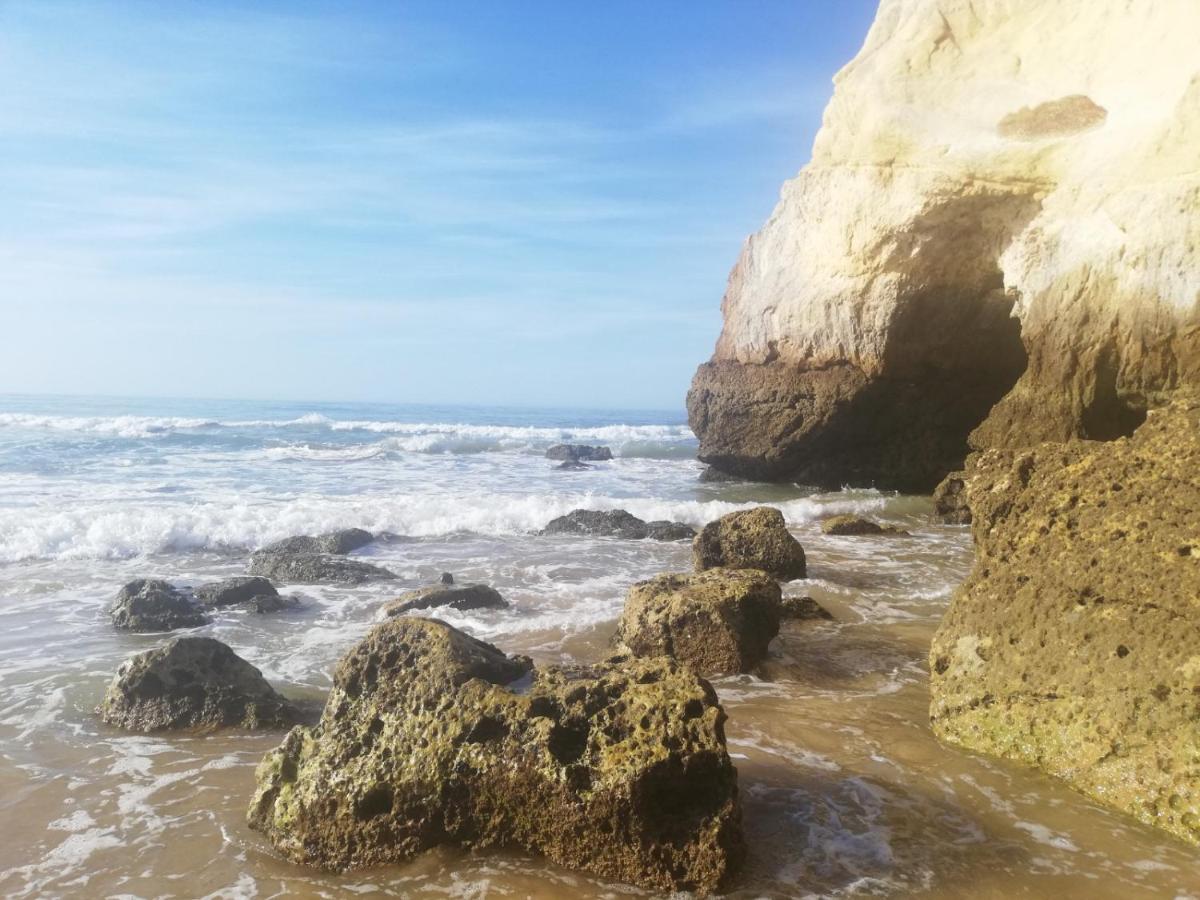 Rocha Mar Front Line Bay *