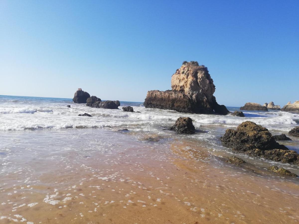 Appartement Rocha Mar Front Line Bay