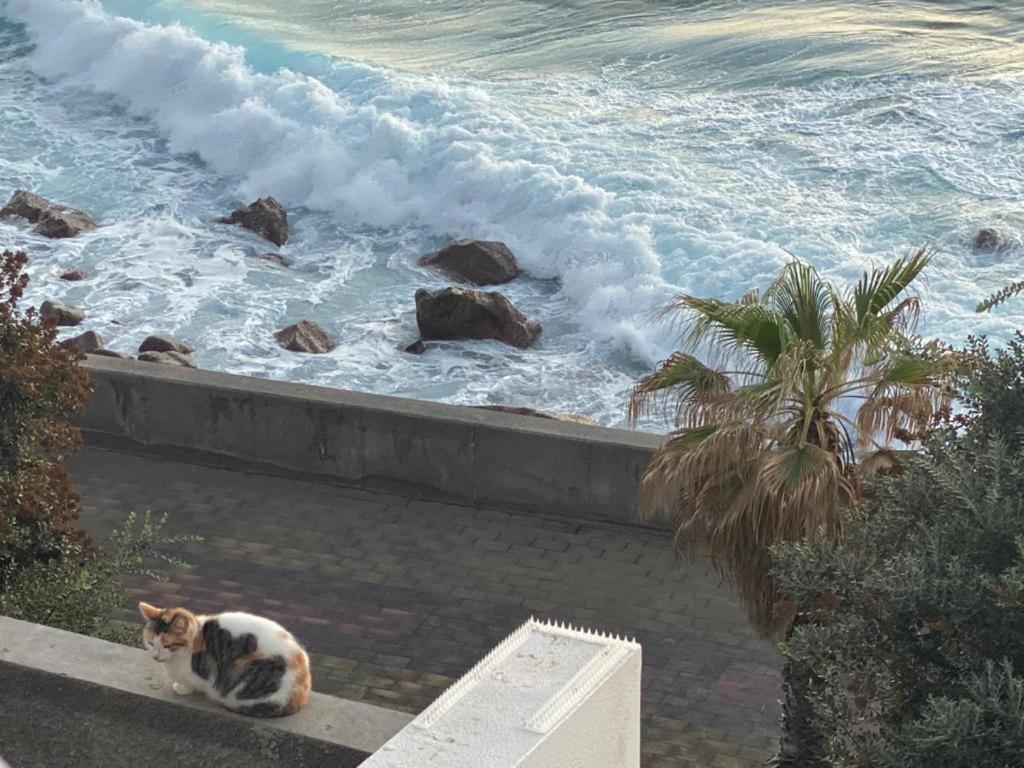 Casa de férias Sea House Jardim do Mar