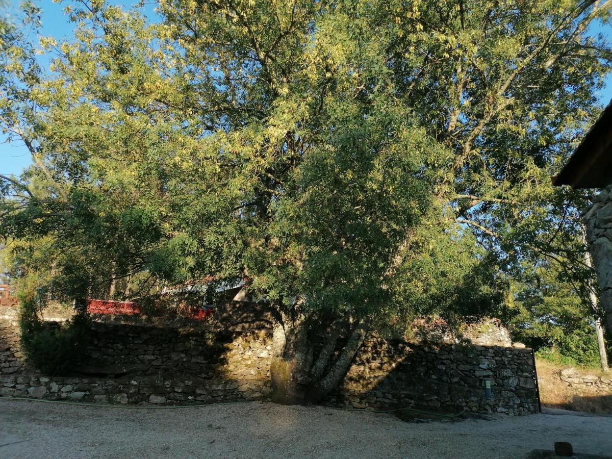 Casa Das *