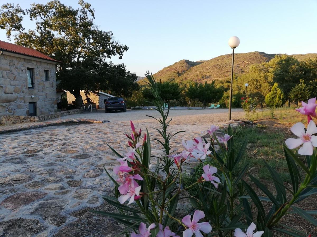 Vakantieboerderij Quinta Dos Carvalhais - Serra Da Estrela Fornos de Algodres