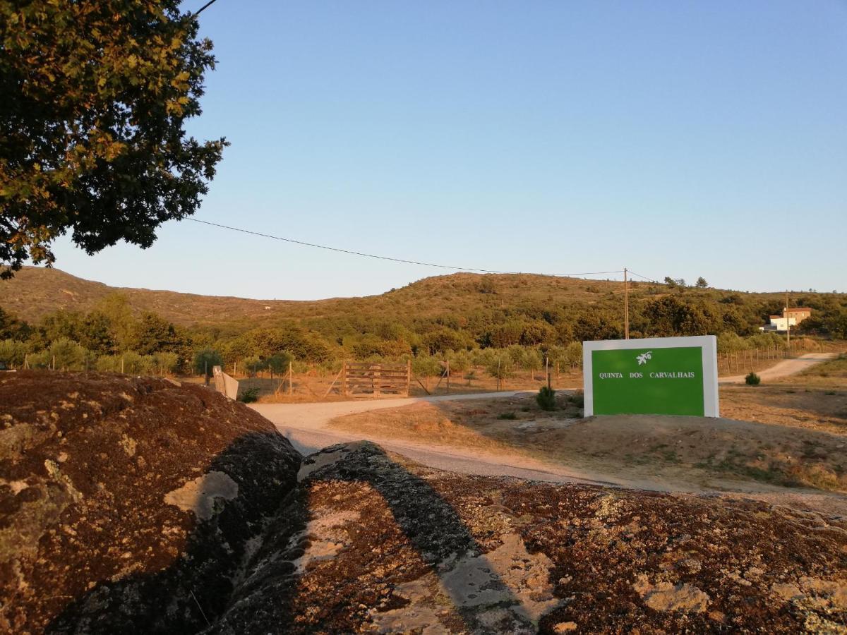 Quinta Dos Carvalhais - Serra Da Estrela Fornos de Algodres