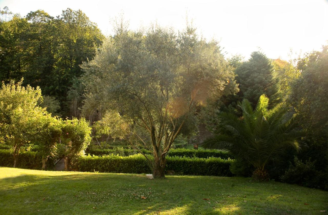 Quinta De Barbedo -