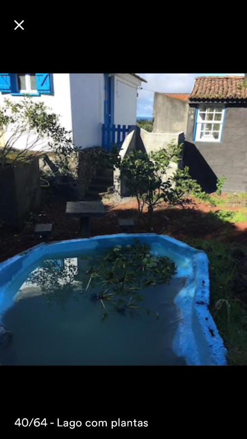 Adega Farm stay Horta (Azores)
