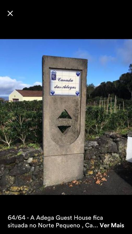 Farm stay Adega Horta (Azores)