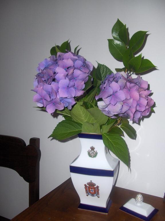 Casa De Santa Ana Farm stay *
