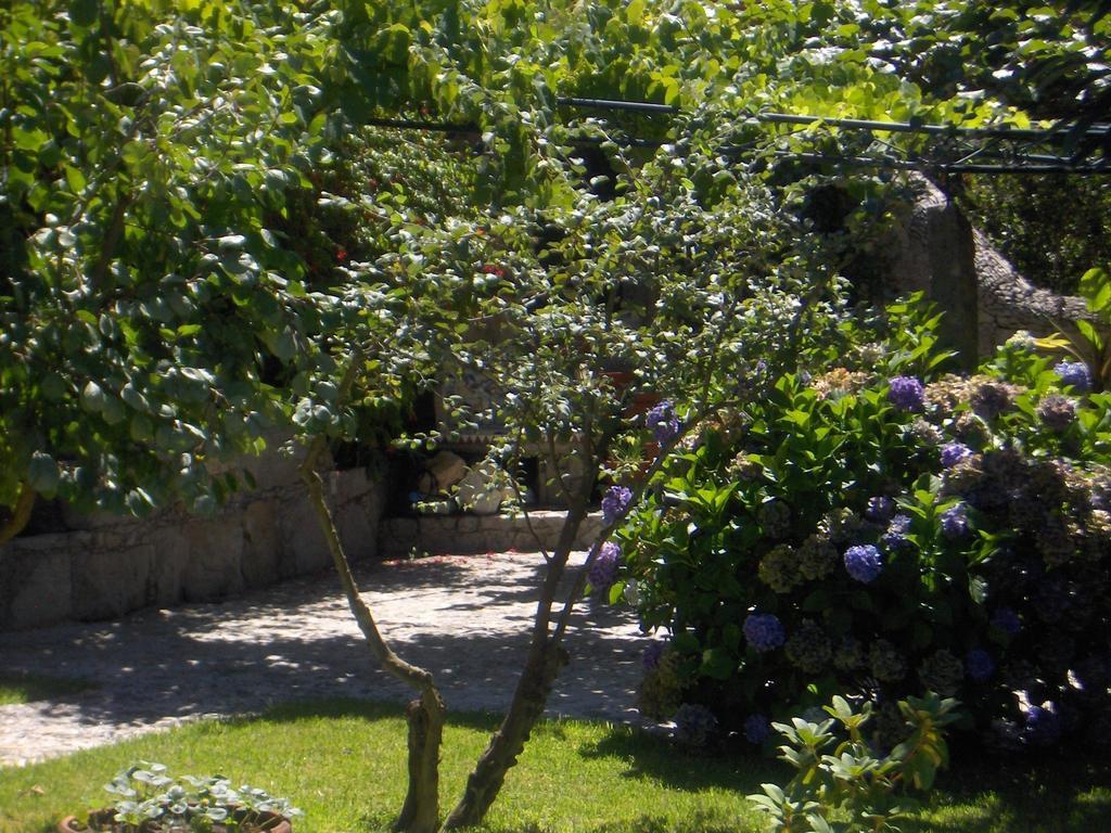 Casa De Santa Ana Farm stay Afife
