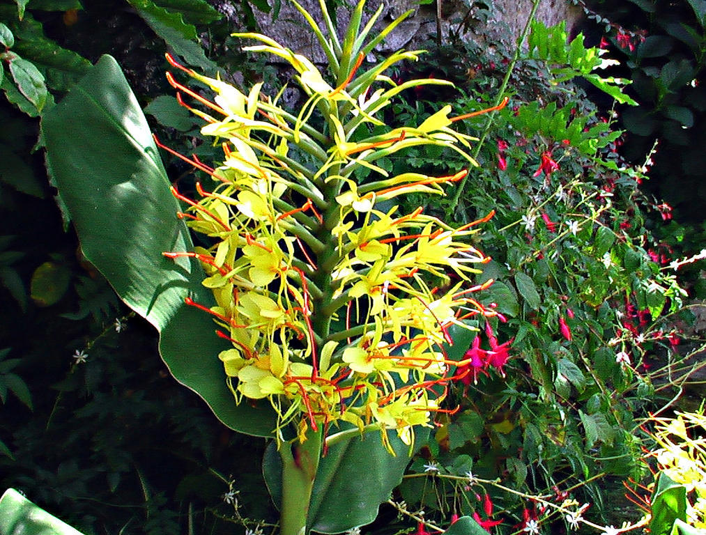 Casa De Santa Ana Farm stay *