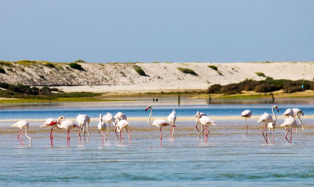 Salgados, Relax & Fun For Family Guia (Faro)