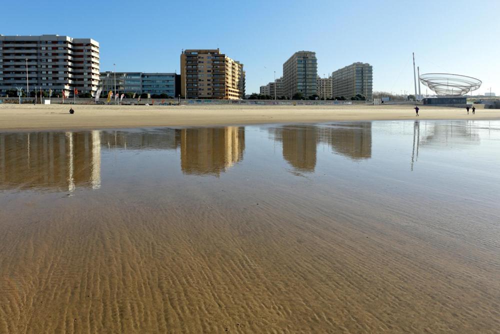 Em Com Piscina Matosinhos (Porto)