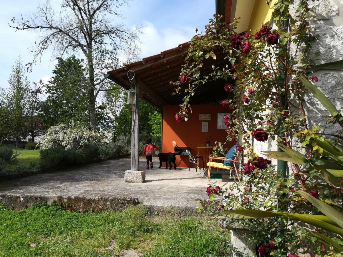 Casa Das Palmeiras * Mangualde