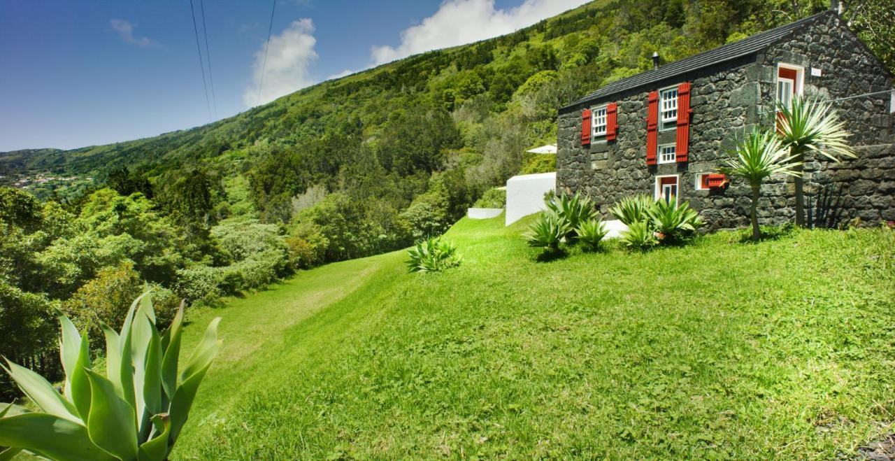 Casas De Incensos *