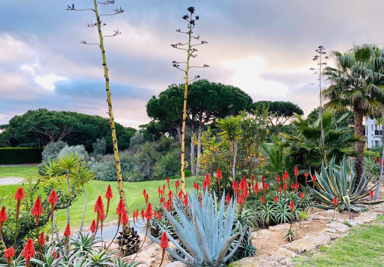 Algarve Luxury Experience - Situated Within The Pinecliffs Apartment *