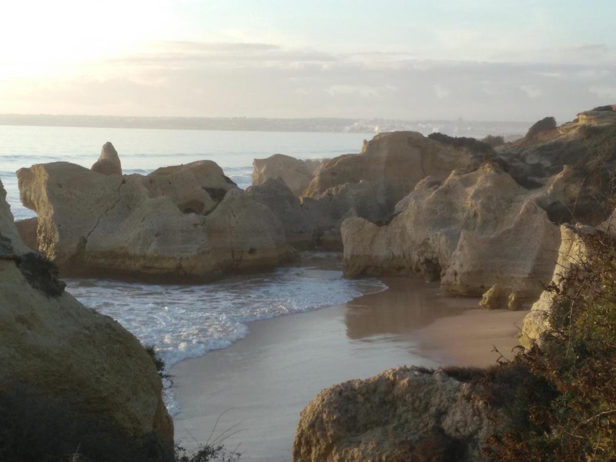 Wonder Holiday home Albufeira