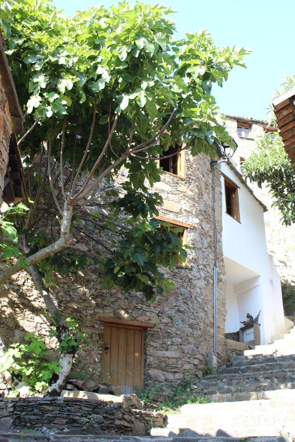 Lodge Casa Da Carvalha Lousa (Central Portugal)