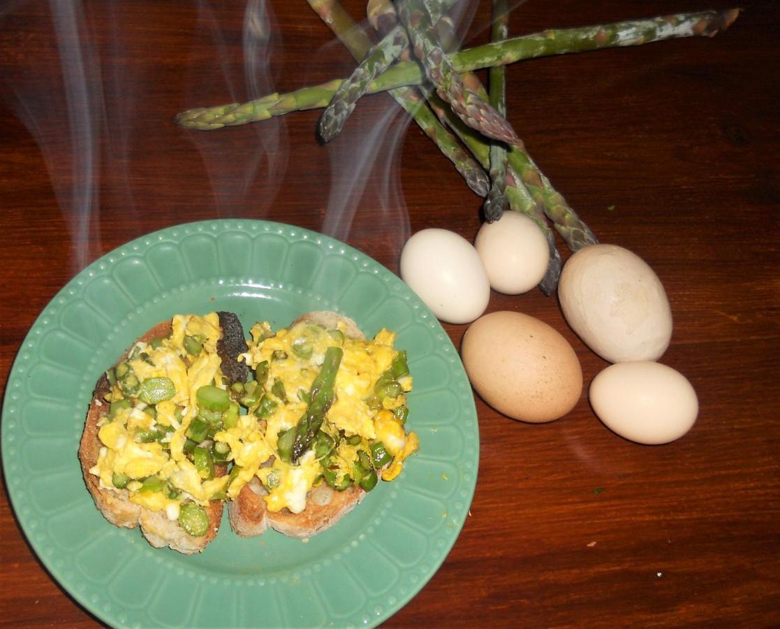 Bed and breakfast Galo Preto - Urban Agriculture - Healthy Food
