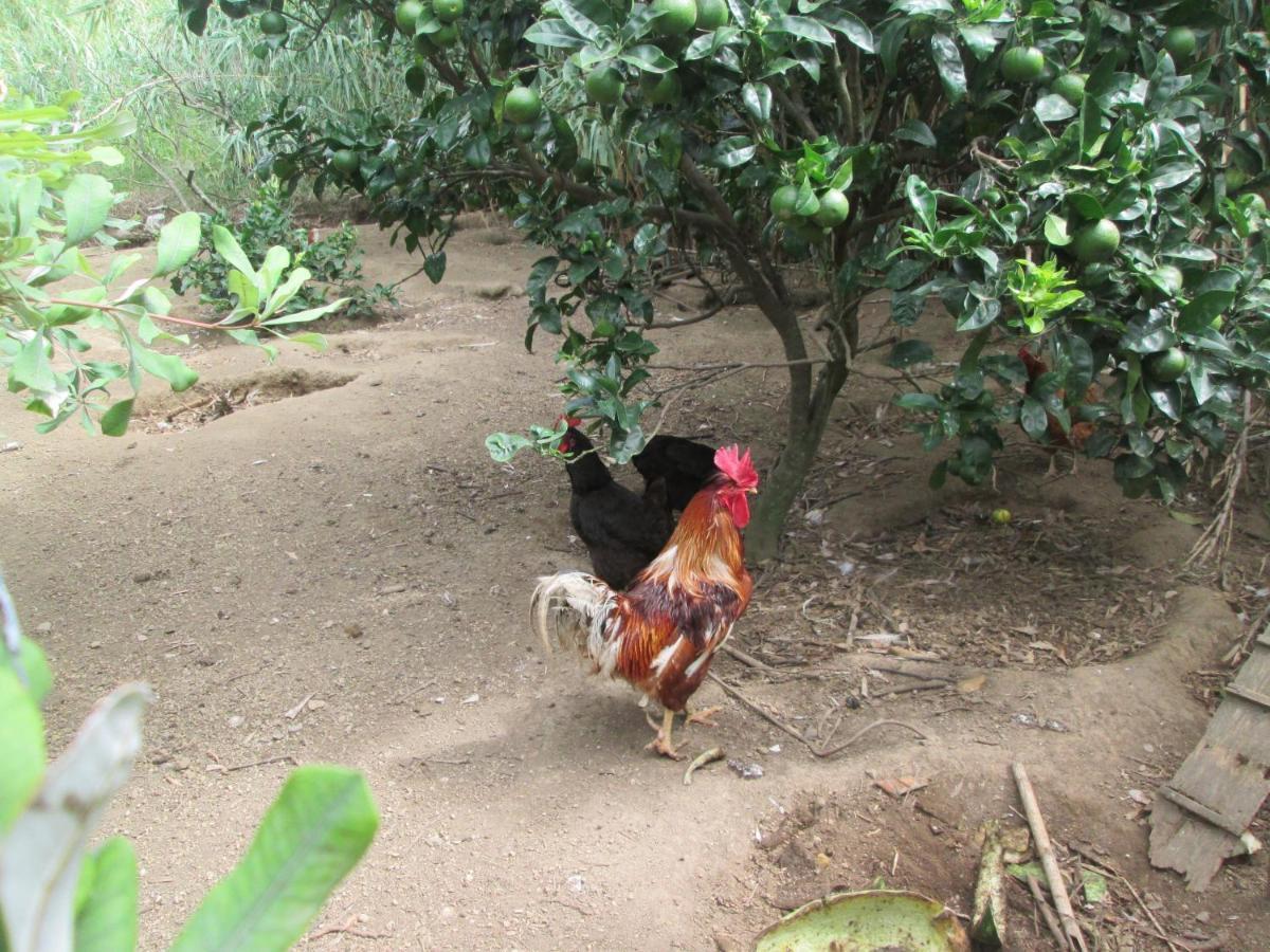 Quinta Da Maria *