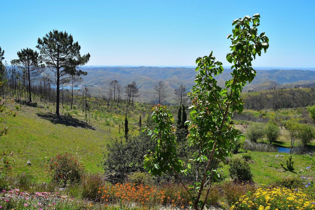 Quinta O Ninho Bed and breakfast Monchique