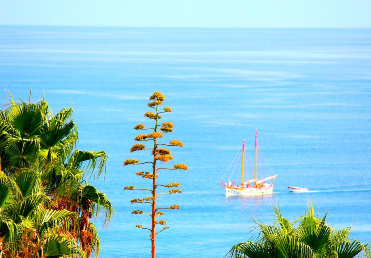 Wow Sea View, 200mts To & 10 Min To Downtown Apartment *