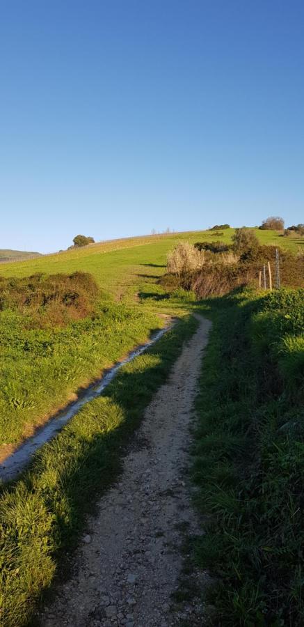Al - Haoleguesthouse Farm stay Sobral de Monte Agraco