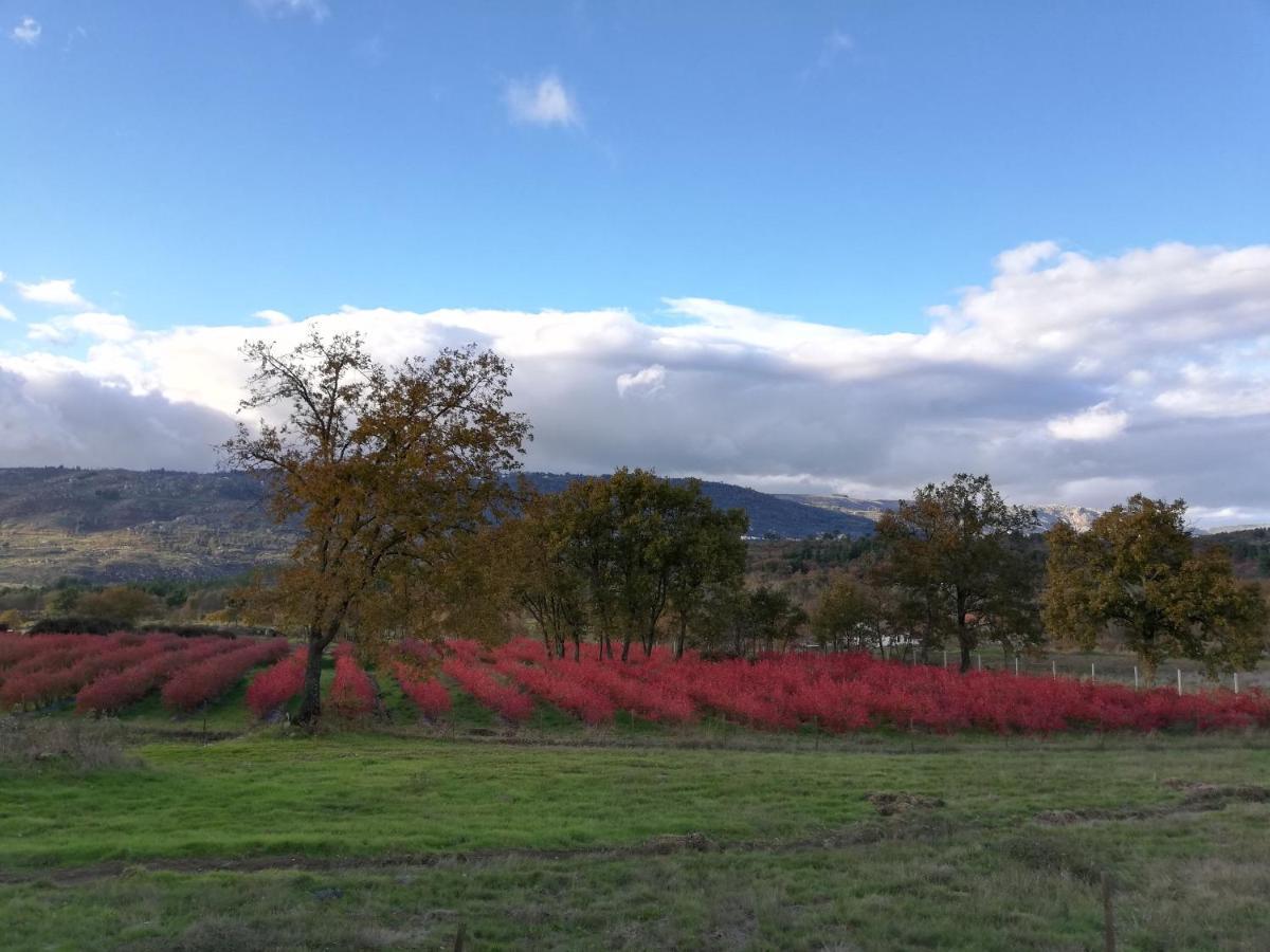 Quinta Dos Carvalhais - Serra Da Estrela Vakantieboerderij