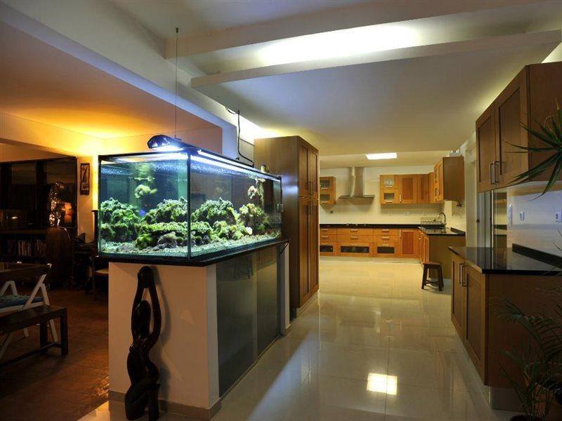Bed & Breakfast Carcavelos Surf House Carcavelos (Lisbon)