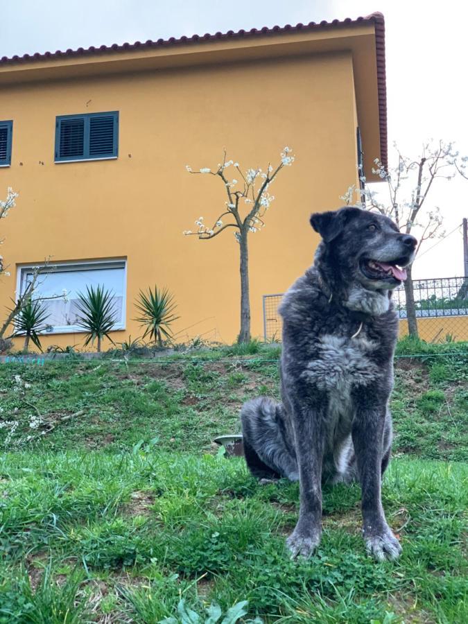 Сasa de vacaciones Casinha A Porta Arouca