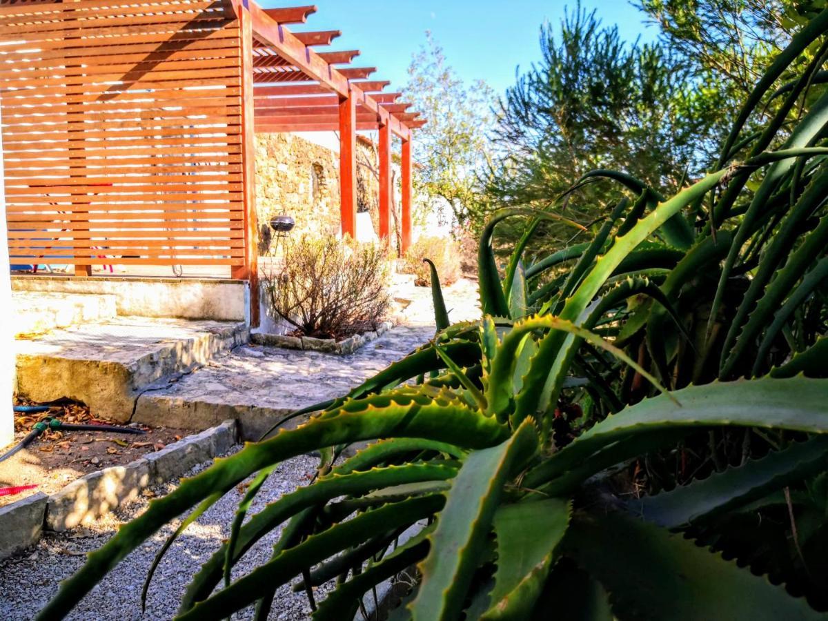 Quinta Alfazemas Chácara