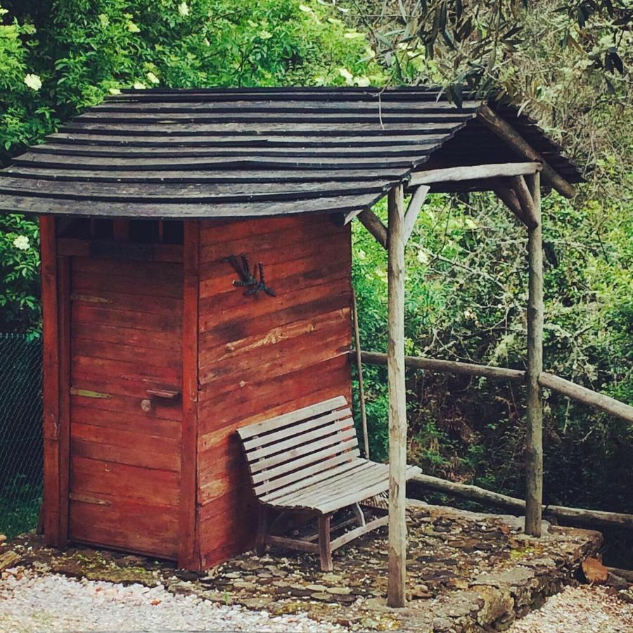 Casa Do Ourico Farm stay Figueiro Dos Vinhos