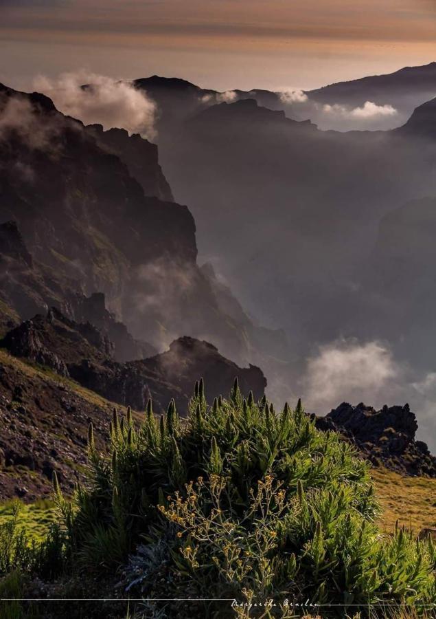 Faia Canico (Madeira)