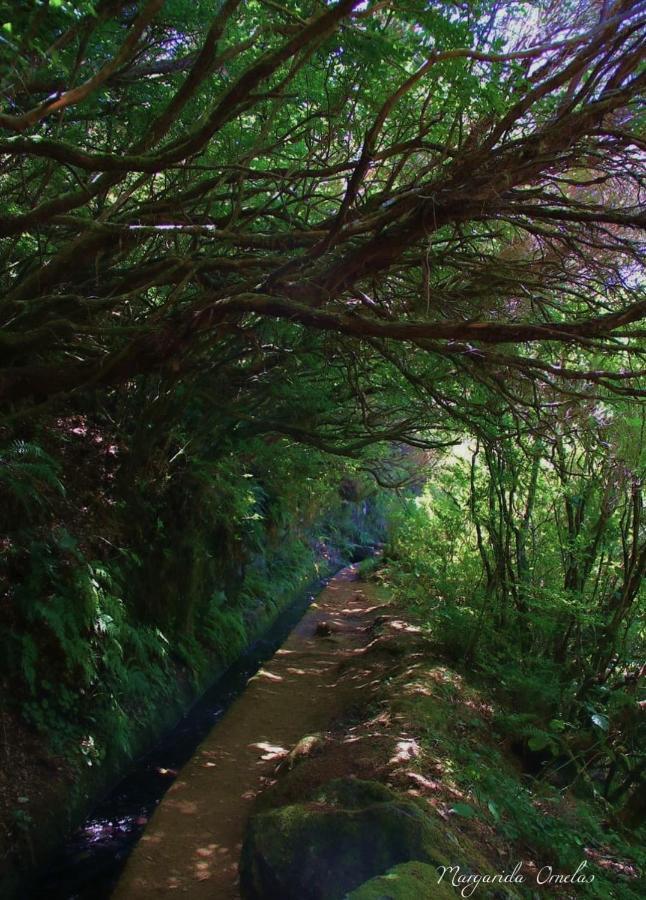 Holiday home Faia Canico (Madeira)