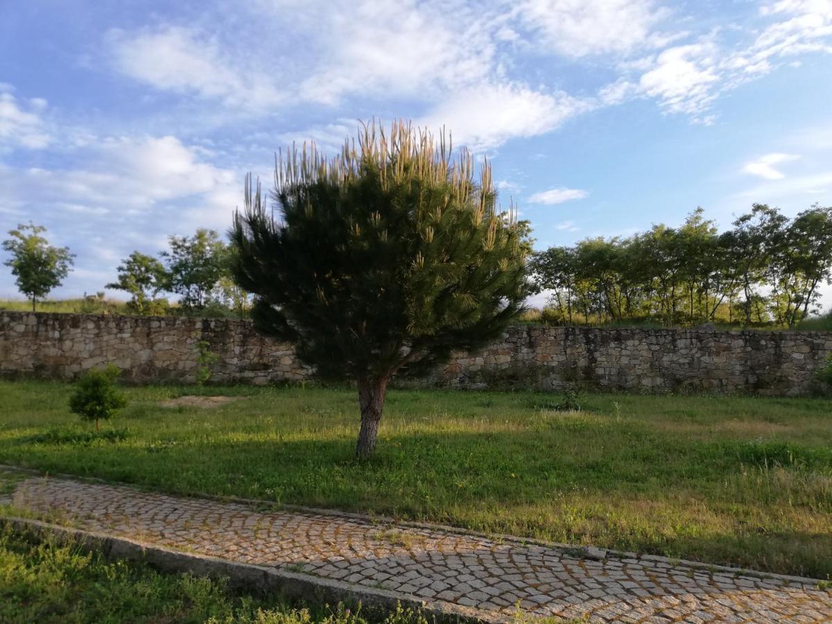 Quinta Dos Carvalhais - Serra Da Estrela *