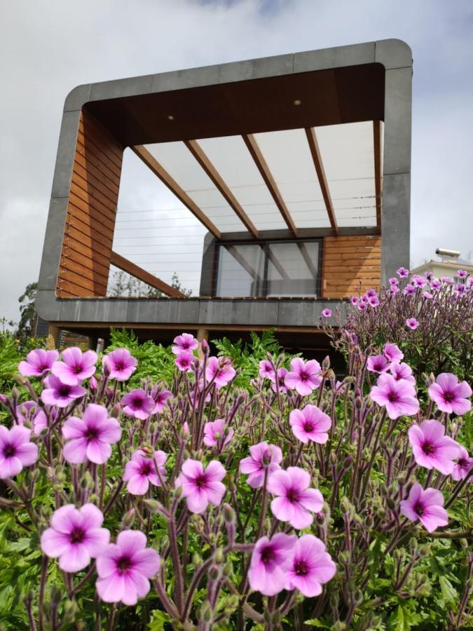 Tenda de luxo Calheta Glamping Pods - Nature Retreat *