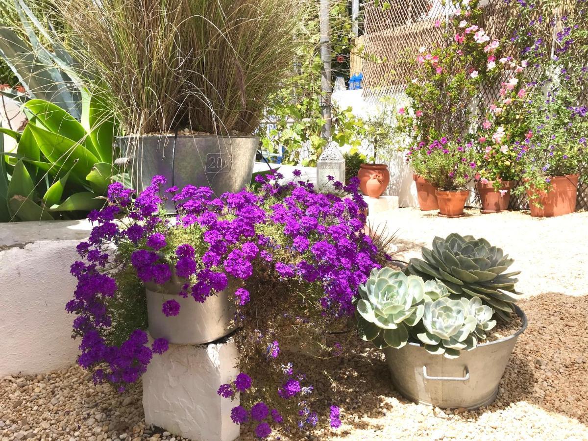 Casa Da Aldeia Holiday home Santa Barbara de Nexe
