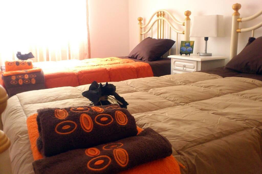 Hilltop Azores - & Countryside Apartment