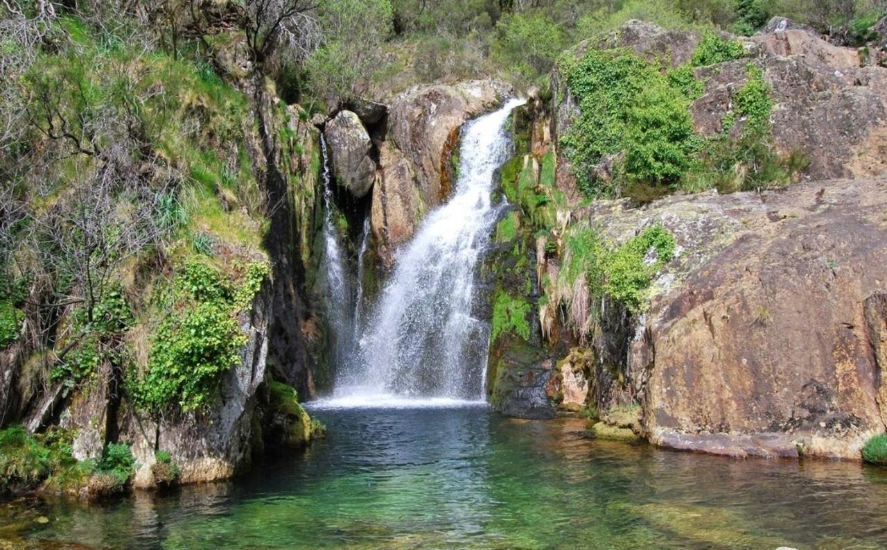 Passadicos & Jacuzzi * Arouca